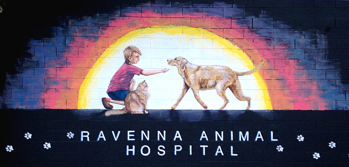 Ravenna Animal Hospital